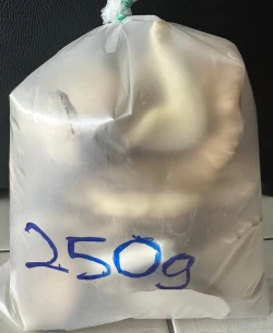 cendawan-tiram-250g-kkgb-indah-shop