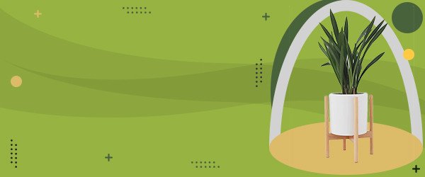 Top deal on fashion accessories